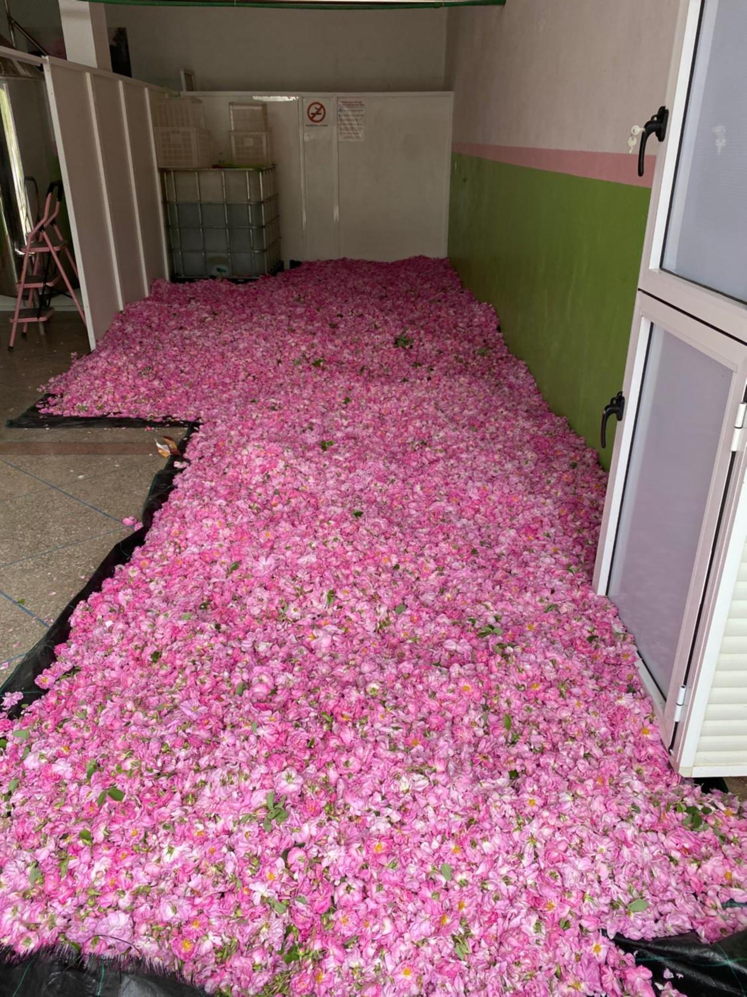 Dar Mgouna Roses Kelaat-M'Gouna Exterior photo